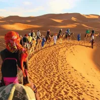 Walking