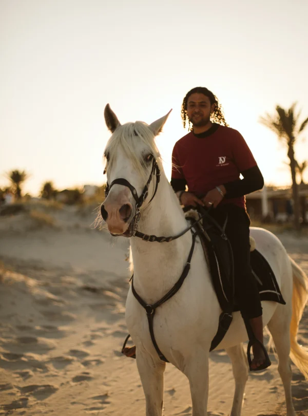 cheval