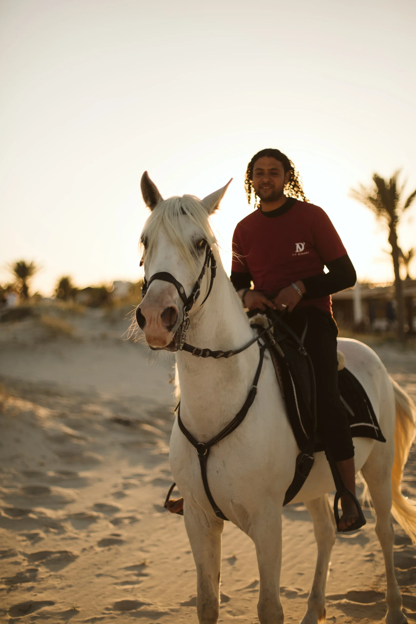 cheval